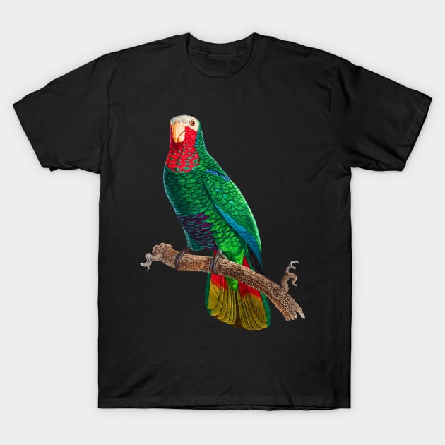Black Panther Art - Beautiful Parrot 16 T-Shirt by The Black Panther